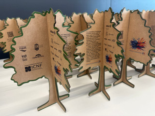 The Story Behind the medallists trees